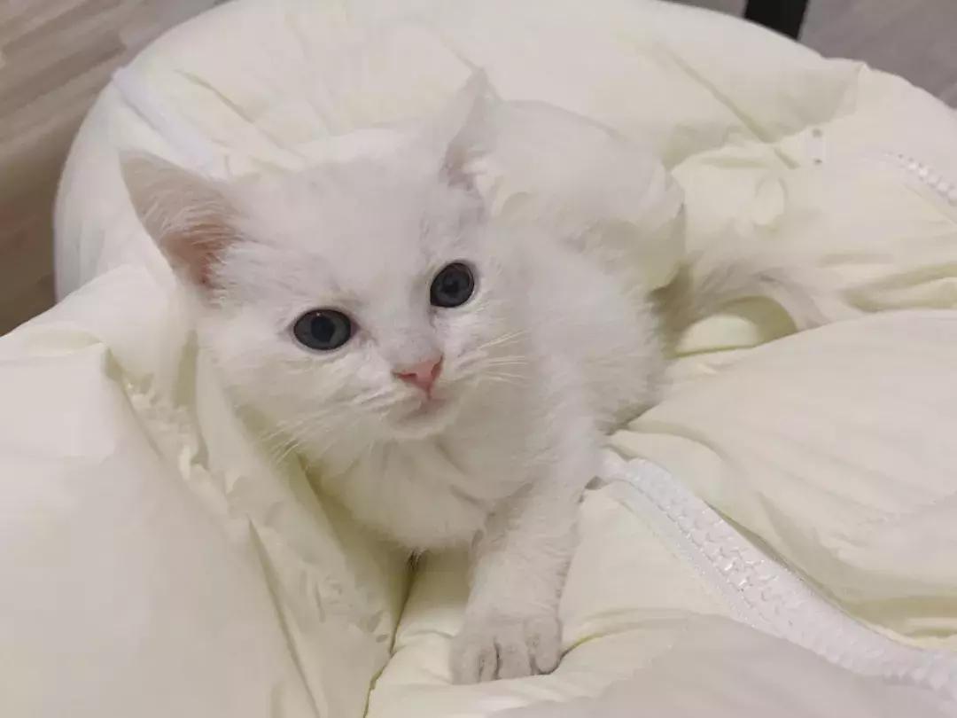 这年头钱难挣屎难吃话难听,钱难赚屎难吃电影台词