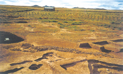 好想知道，黑人和穆斯林，与我们的中华民族是一种什么关系呢？