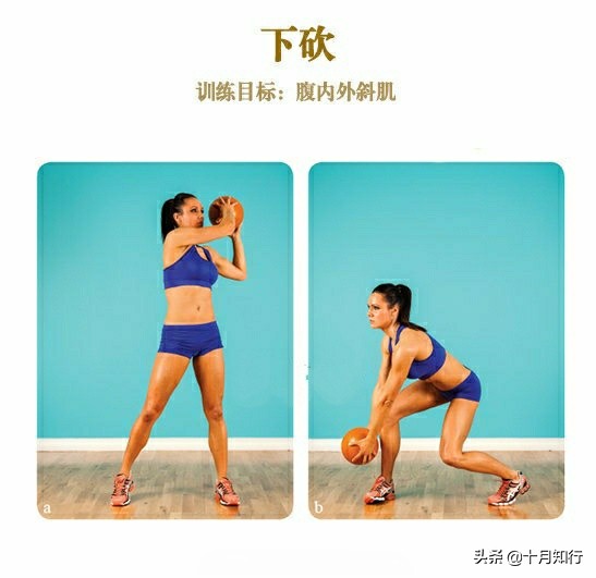 哑铃紧致训练动作图片,初学者哑铃经典8个动作女性