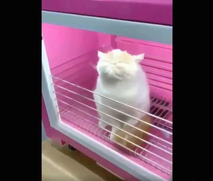 最近十年最具创意的产品,脑洞大开的创意产品