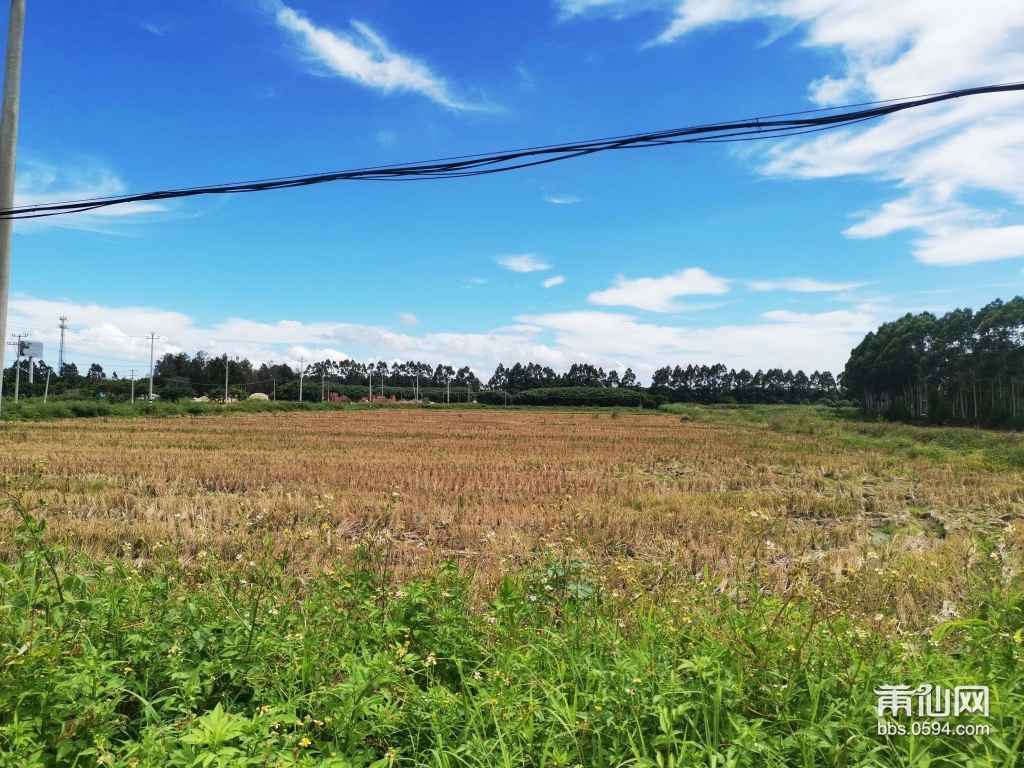 莆田历史名村,福建莆田第一大村
