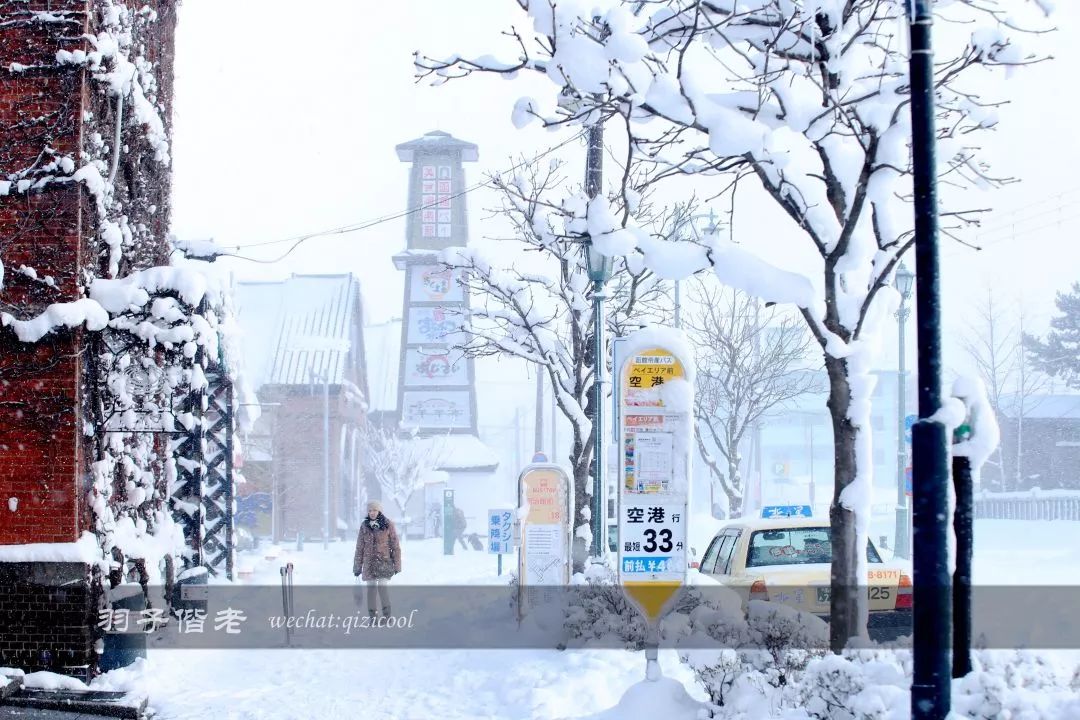 日本10天自由行费用北海道,东京北海道5日自由行攻略