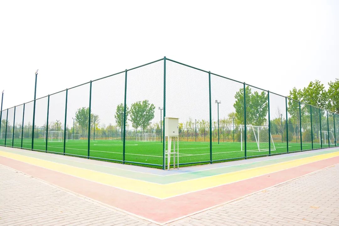 春意盎然北京五大公园,北京区级综合性公园