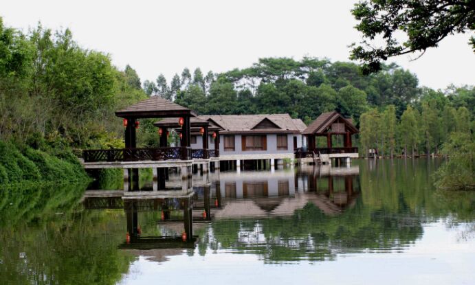 风门古径周边的山庄,风门古径有云雾吗