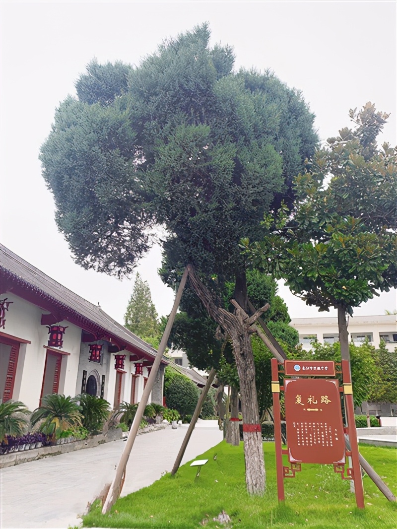 南阳抗战往事,南阳讲解历史