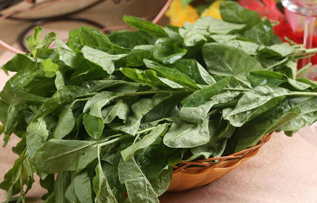 发蔫的蔬菜泡了液体之后变新鲜,不容易腐烂发蔫的蔬菜