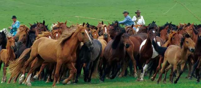 马奶节来历简介,马奶节是什么族的重要节日