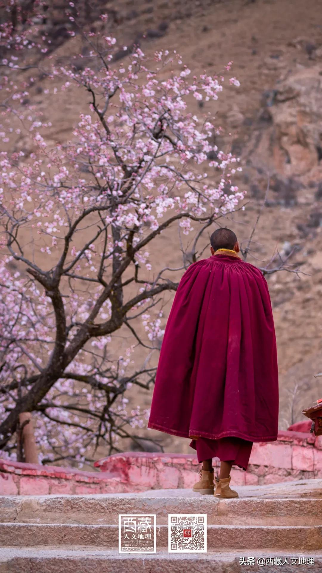 又仙气又美丽的壁纸,适合春日的绝美壁纸