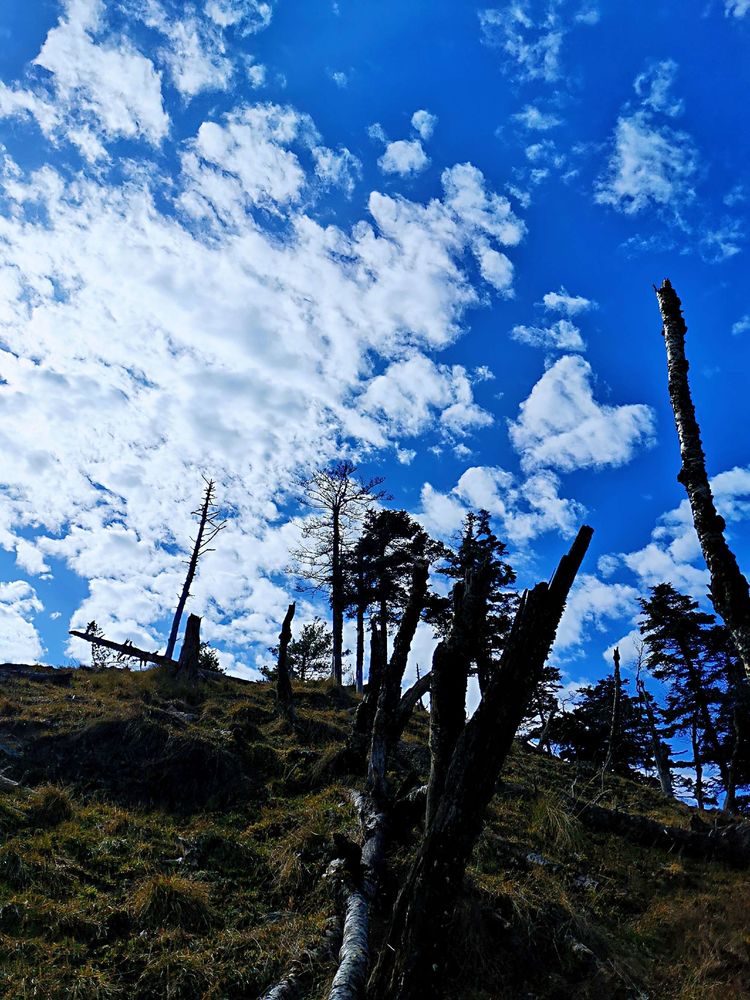 20201101惊悚之行~首阳山大坪梁单日横穿+原返