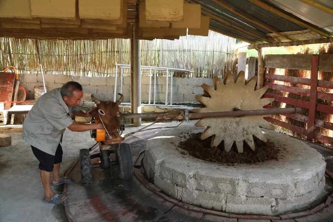 鍘﹀ぇ瀵诲疂,鍘﹀ぇ瀵诲疂涔嬫梾