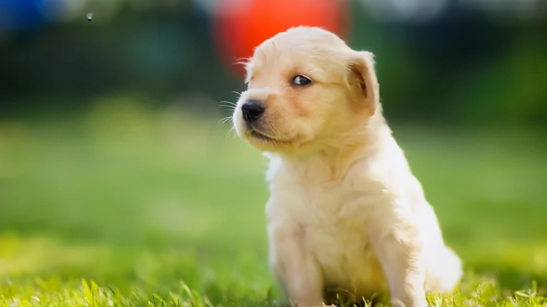 香喷喷正确使用方法,喷香满屋快速除味