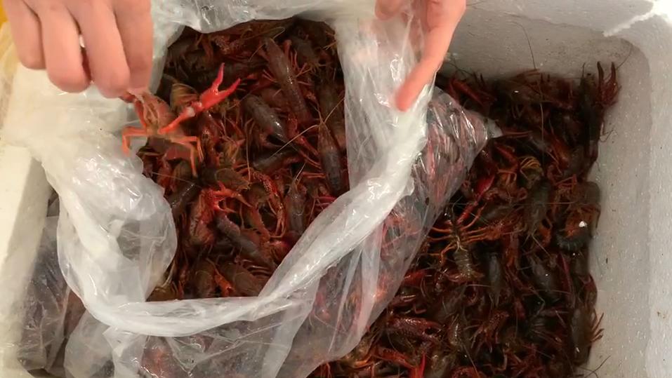 夏天，碰到此虾别手软，一次性买30斤，放冰箱冻起来，特省事