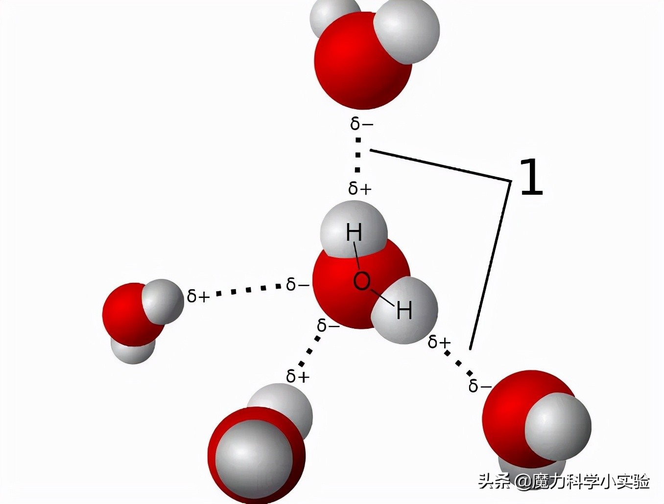 魔力科学小实验静电,魔力科学小实验变色的水
