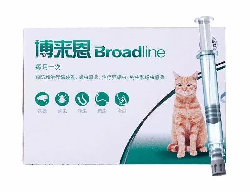 用了博来恩还要内驱吗,博来恩猫外驱