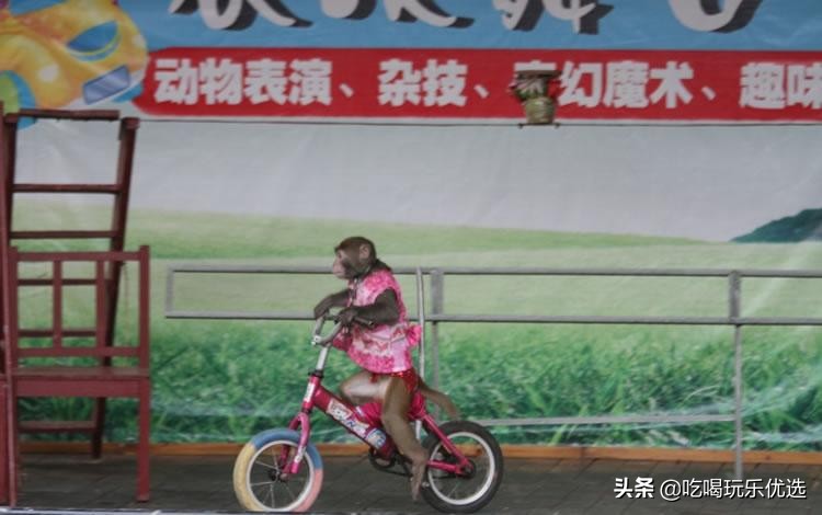 深圳观澜山水田园游,深圳观澜湖山水田园旅游文化园