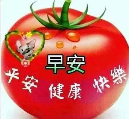 六月最近的早上好祝福语动态图片,新的五月份早上好问候图片