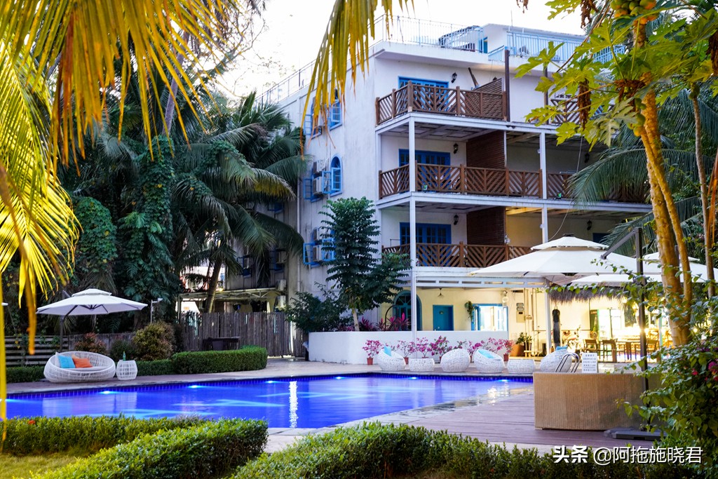 漫步其中尽享清新惬意,漫步海边椰林