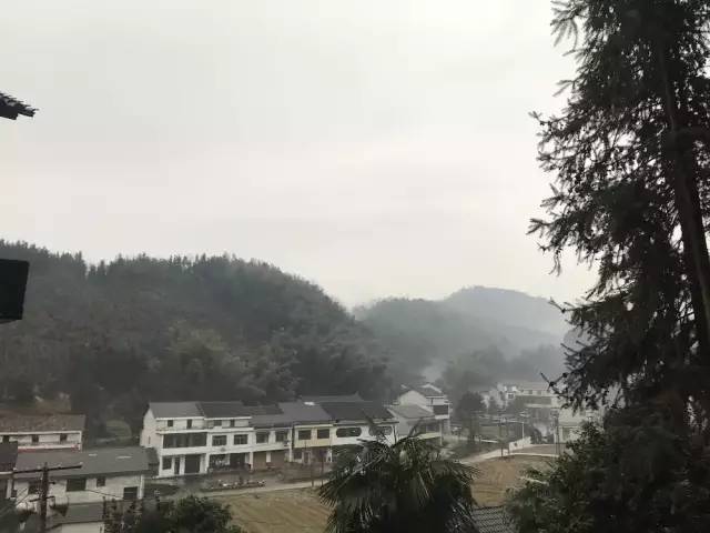 我的家乡被遗忘,我的家乡曾经也很美丽