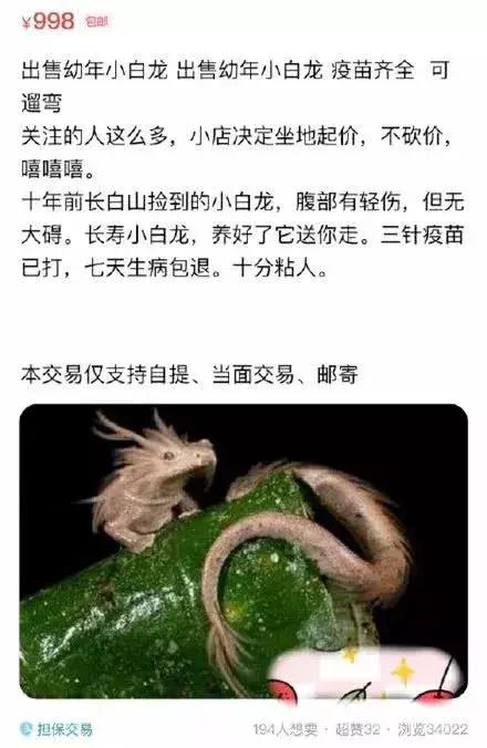 闲鱼神兽,在闲鱼上面买的宠物是真还是假