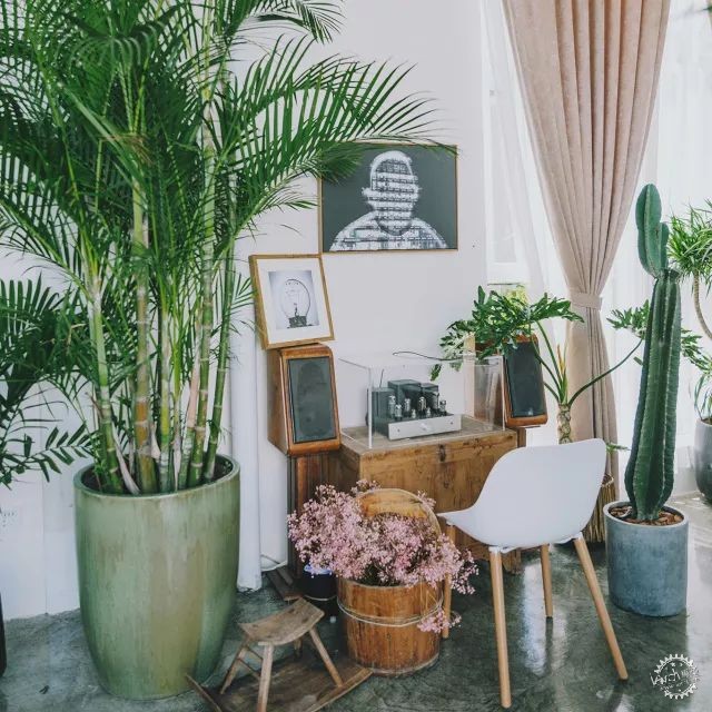 sasa，西西，设计师老王和三圣乡的“亲家DearHome”