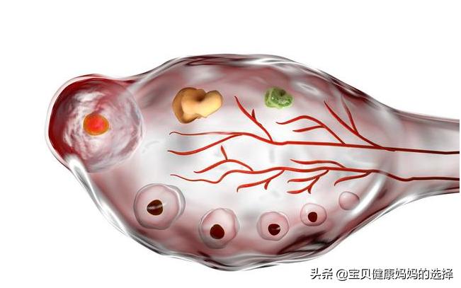 排卵试纸测到强阳一般多久会排卵,排卵试纸测到强阳多久才能排卵