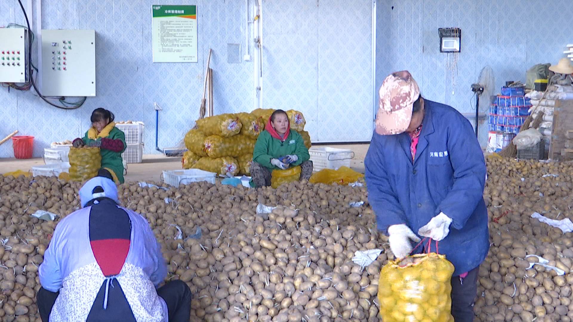 年薪20万it男,年薪20万农村it男