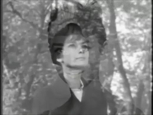 奥黛丽赫本最漂亮的电影,奥黛丽赫本主演的几部电影