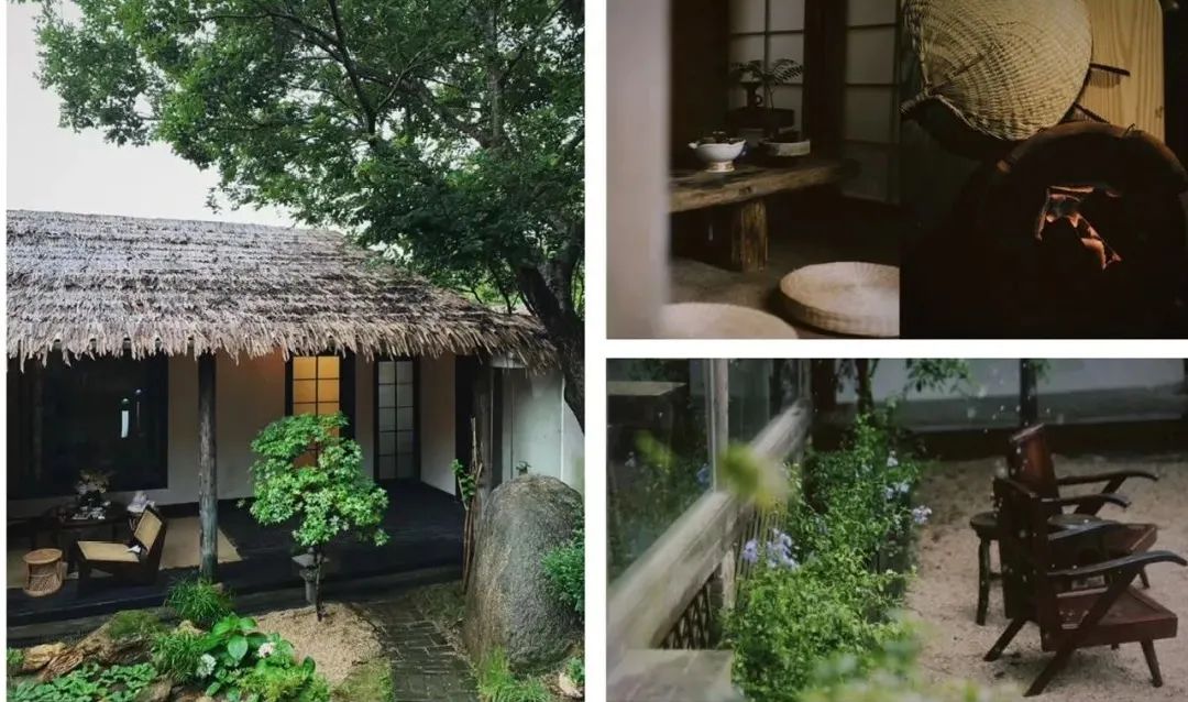 春天的第一杯茶颜悦色奶茶,春天的第一杯竹筒茶