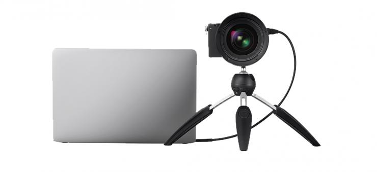 智云weebills搭配适马fp,适马fp最轻的镜头