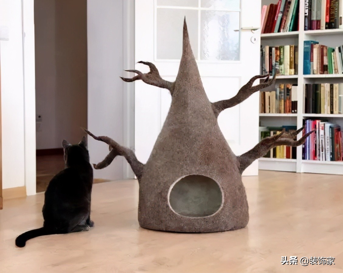 铲屎官最爱的客厅方案,铲屎官最满意的卧室装饰