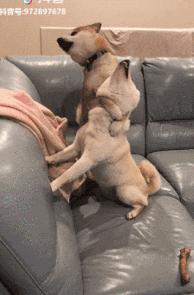 搞笑gif趣图妹子你的内心太强大了,搞笑gif越来越搞不懂现在的女生了