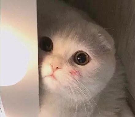 地狱空荡荡魔鬼在人间原文,地狱空荡荡魔鬼在人间完整