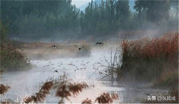 周易智慧及应用,周易中的智慧讲解视频