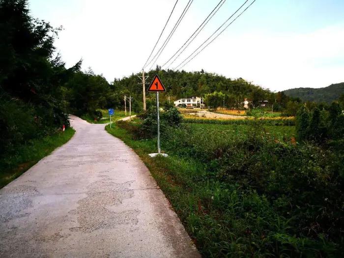 老段和老殷,老段和金段