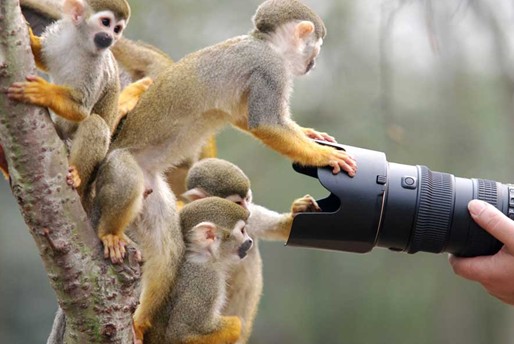 新冠战役从头到尾,新冠疫情每个人都是战士