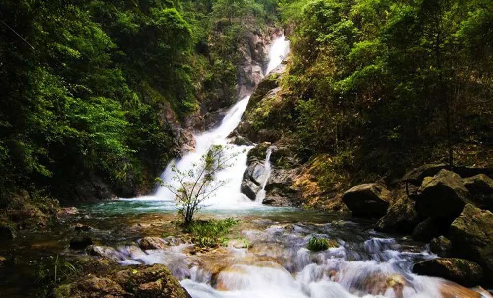 九江旅游必去十大免费景点,九江旅游必去的八大景点