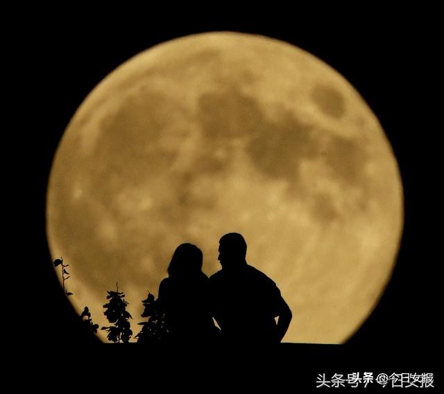 厉害!她们查男友堪比福尔摩斯,你身边有没有这样的私“佳”侦探