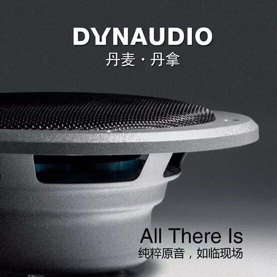 丹拿音响为啥价格这么高,丹拿汽车音响性价比高吗