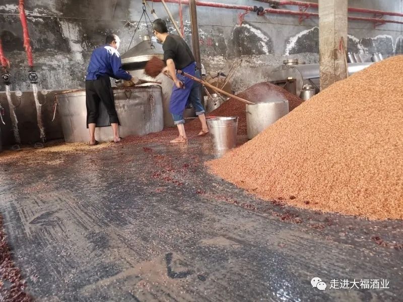 贵州省茅台镇大曲酱香酒,贵州省茅台镇大曲多少钱一瓶