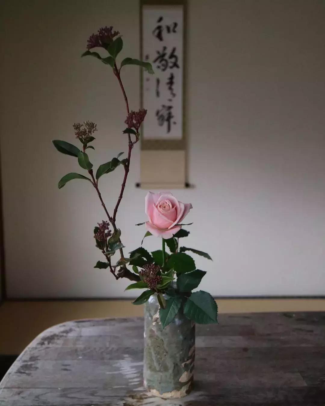 创意禅意插花月季盘花,禅意插花100例兰花