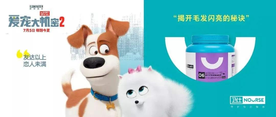隐藏在爆火背后，是16年专研宠物营养的匠心精神|大咖对话