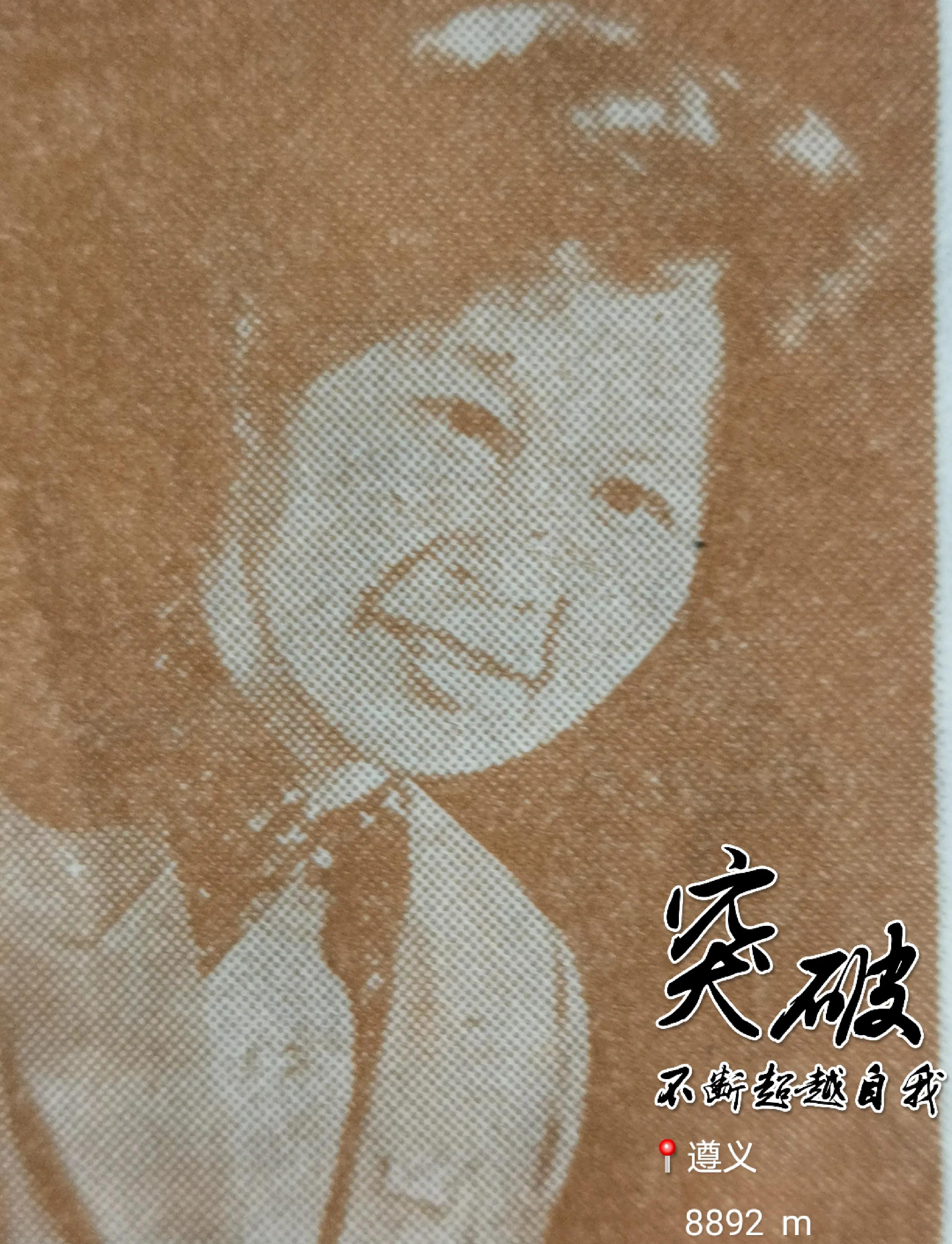 贵州大学8090后的回忆,贵州大学往事