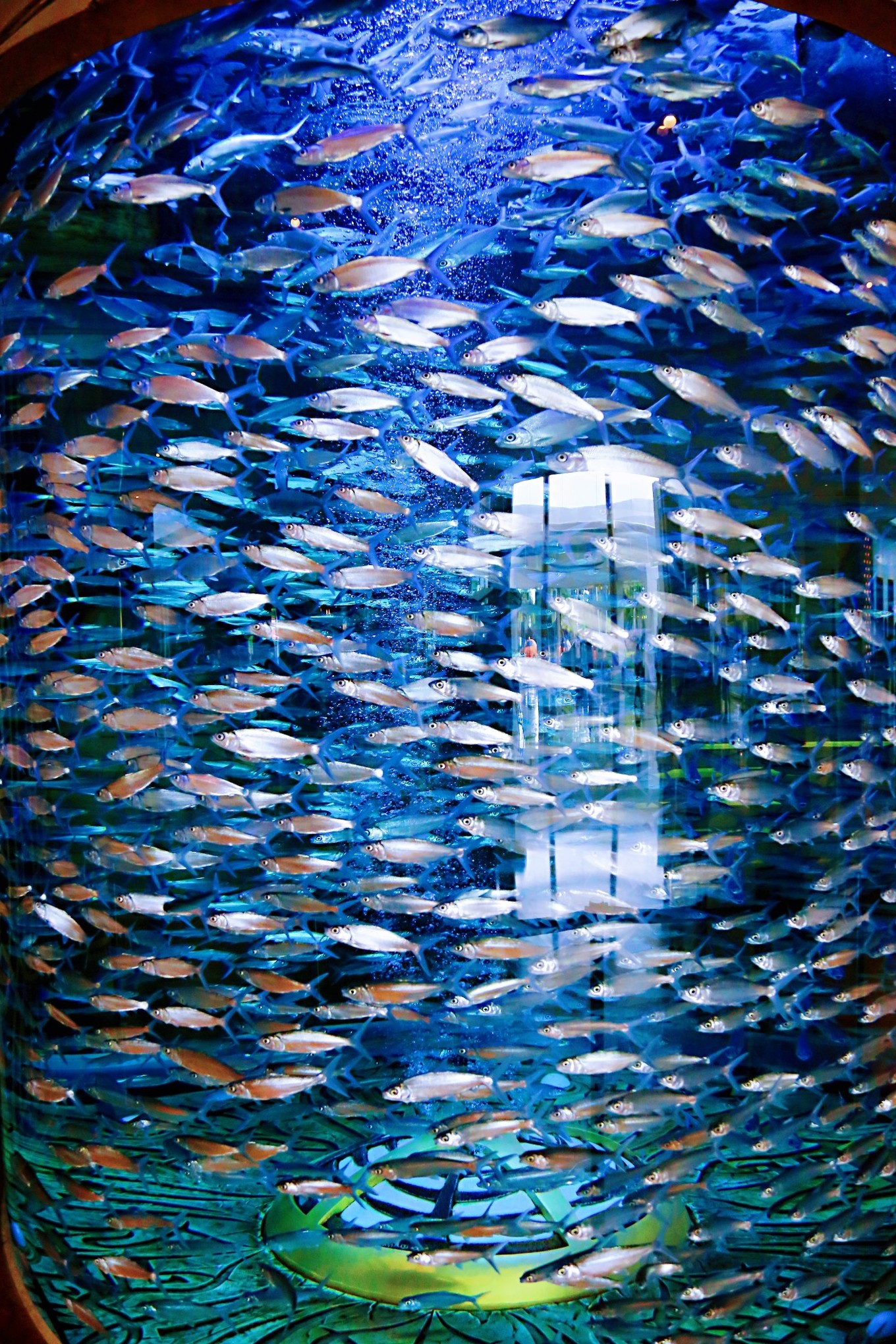 三亚自由行5天4晚亲子游攻略,寒假三亚5天4晚3人亲子游团购