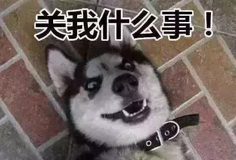 你喜欢刷抖音吗?那这篇文章你一定得看看!