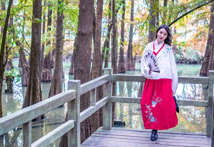 星湖冬日燃情，比落羽杉还要红的是什么？#我和湿地有个约会#