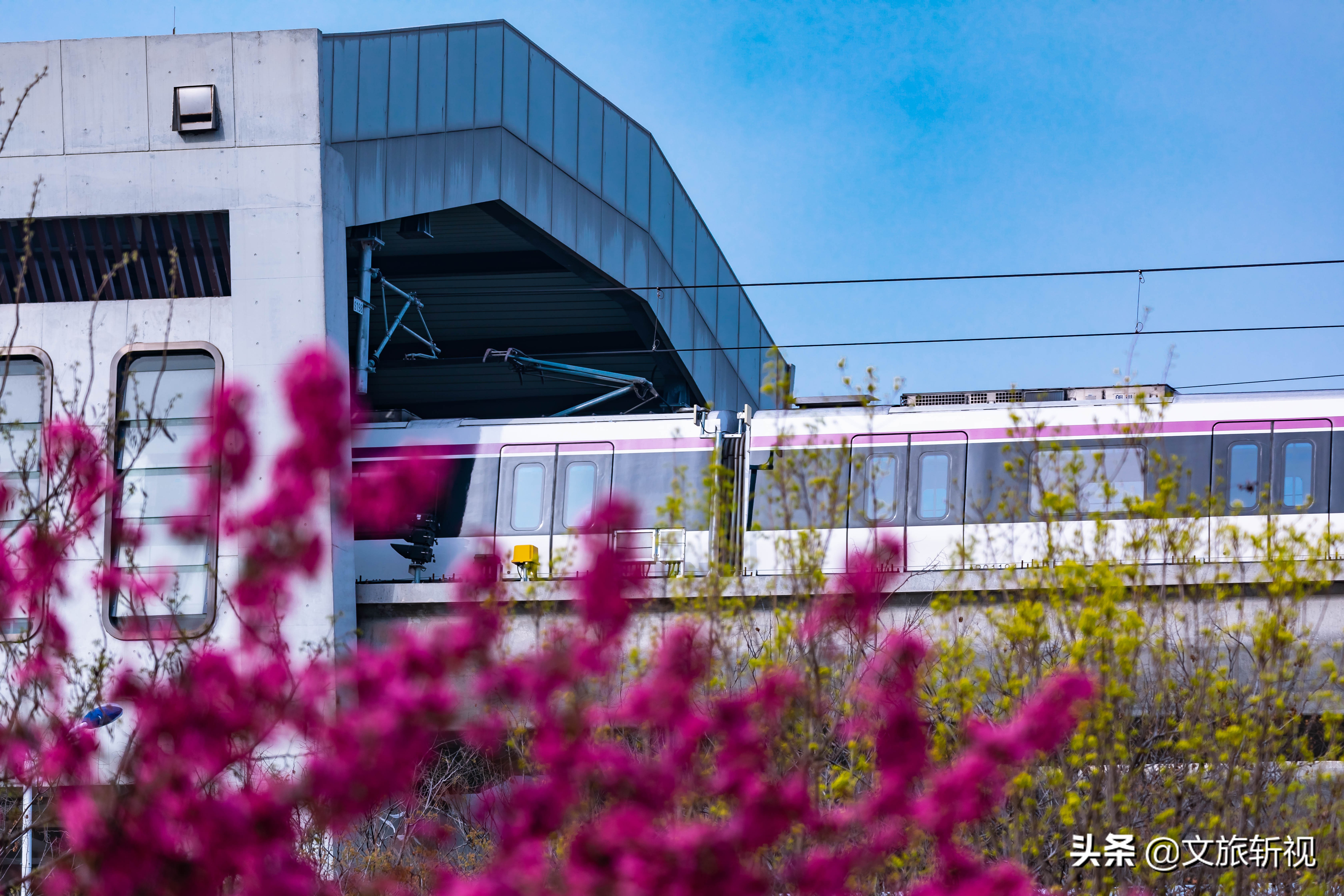 长清地铁规划最新消息,长清地铁最新规划图