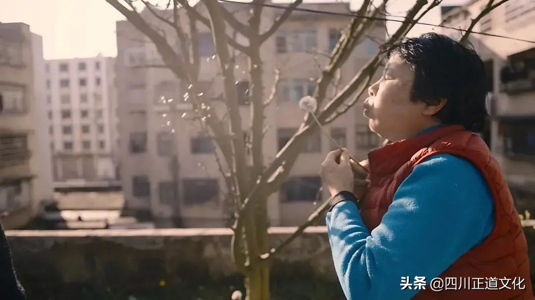 值得看的电影春天,春天的电影名字