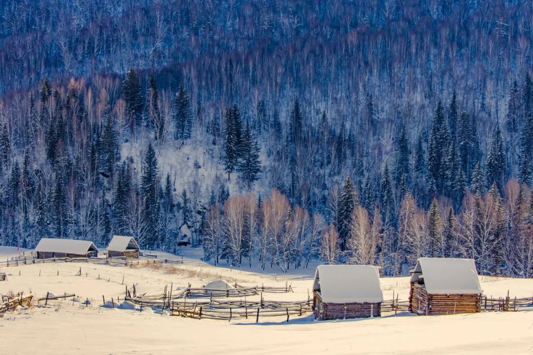 鍫瘮鐟炲+鐨勪腑鍥芥粦闆満,濯茬編鐟炲+