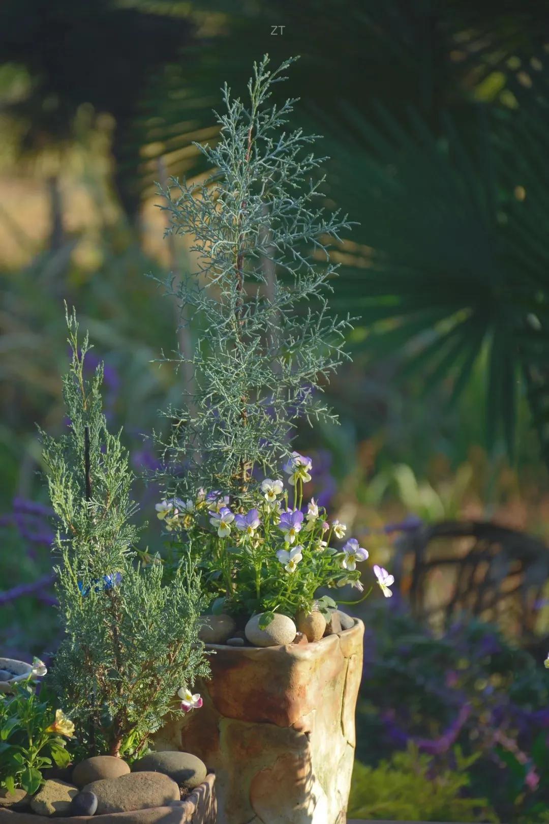 90后男孩住进郊区老屋，徒手打造400㎡自然花园，里面装满小精灵