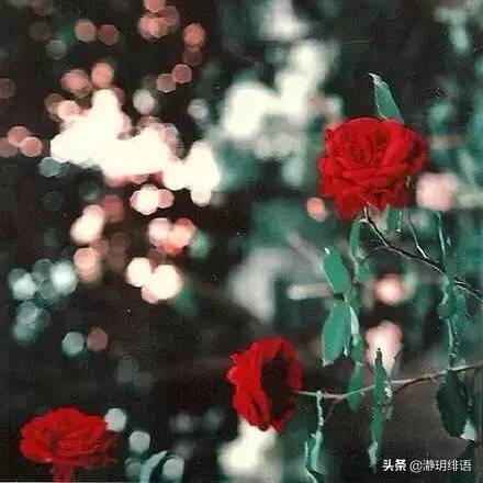 不喜欢去老婆娘家,不愿意回婆家的女人是什么心理